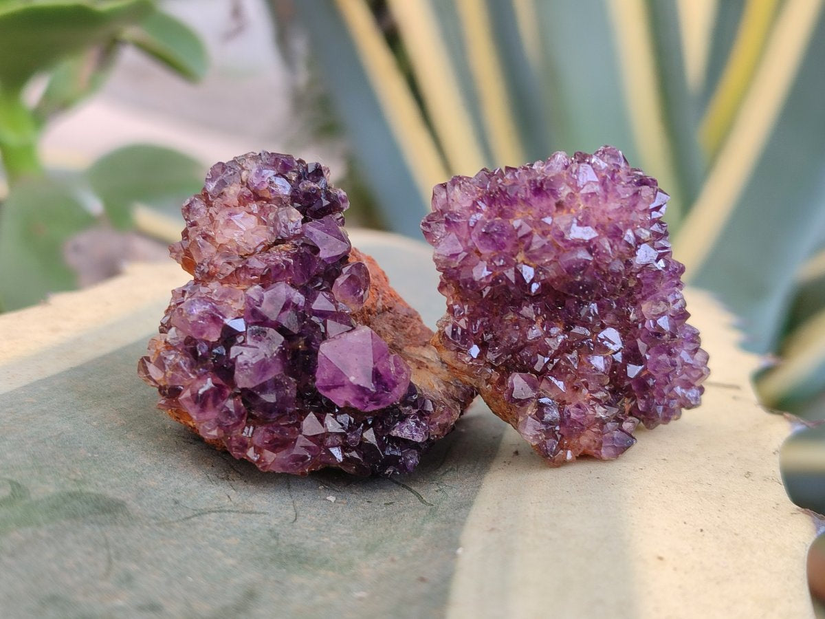 Natural Dark Purple Amethyst Crystal Plates x 35 From Boekenhouthoek, South Africa - Toprock Gemstones and Minerals 