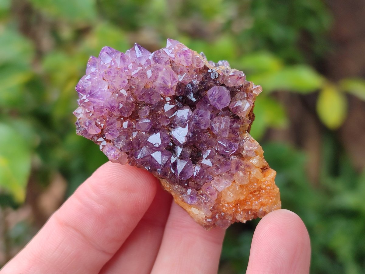 Natural Dark Purple Amethyst Crystal Plates x 35 From Boekenhouthoek, South Africa - Toprock Gemstones and Minerals 