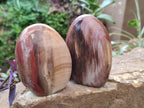 Polished Mixed Red Podocarpus Petrified Wood Pieces x 4 From Mahajanga, Madagascar - Toprock Gemstones and Minerals 