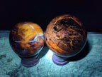 Polished Mixed Red Podocarpus Petrified Wood Pieces x 4 From Mahajanga, Madagascar - Toprock Gemstones and Minerals 