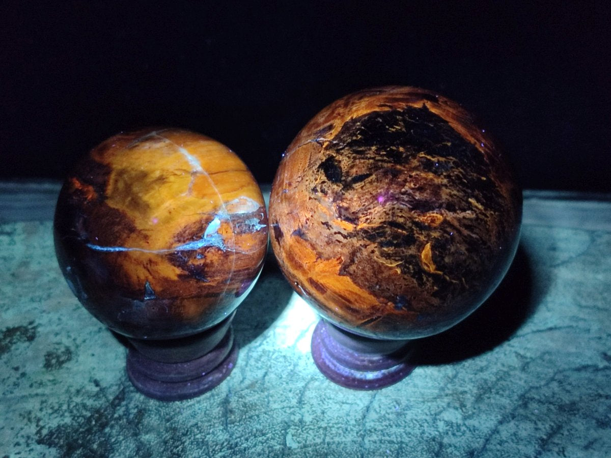 Polished Mixed Red Podocarpus Petrified Wood Pieces x 4 From Mahajanga, Madagascar - Toprock Gemstones and Minerals 