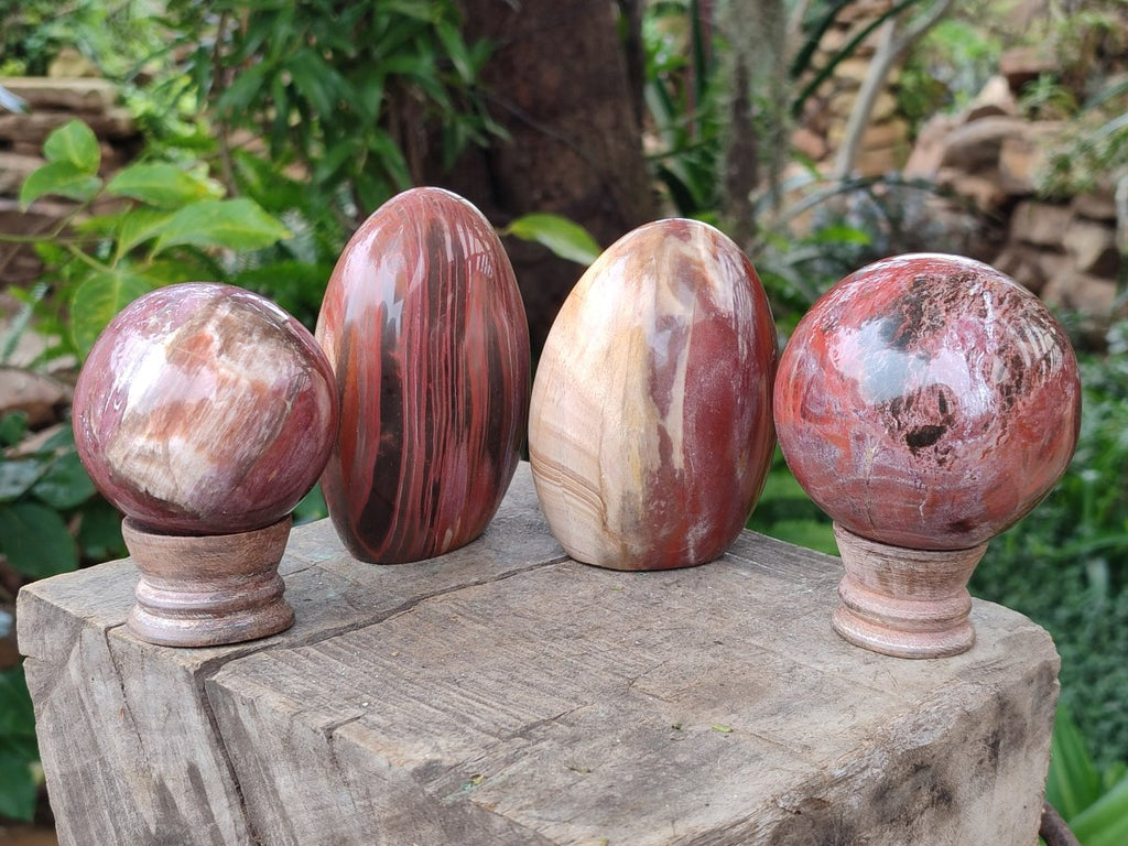 Polished Mixed Red Podocarpus Petrified Wood Pieces x 4 From Mahajanga, Madagascar - Toprock Gemstones and Minerals 