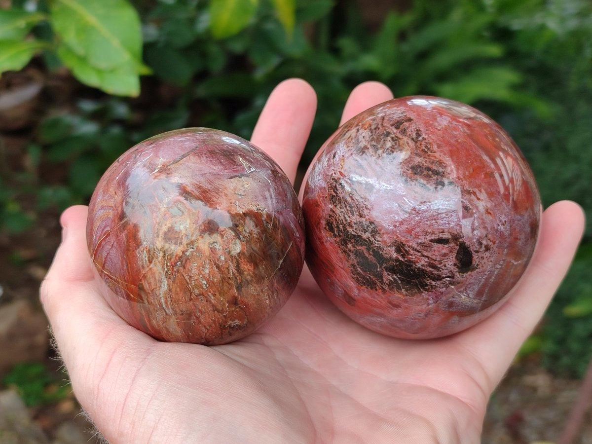 Polished Mixed Red Podocarpus Petrified Wood Pieces x 4 From Mahajanga, Madagascar - Toprock Gemstones and Minerals 