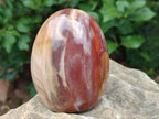 Polished Mixed Red Podocarpus Petrified Wood Pieces x 4 From Mahajanga, Madagascar - Toprock Gemstones and Minerals 