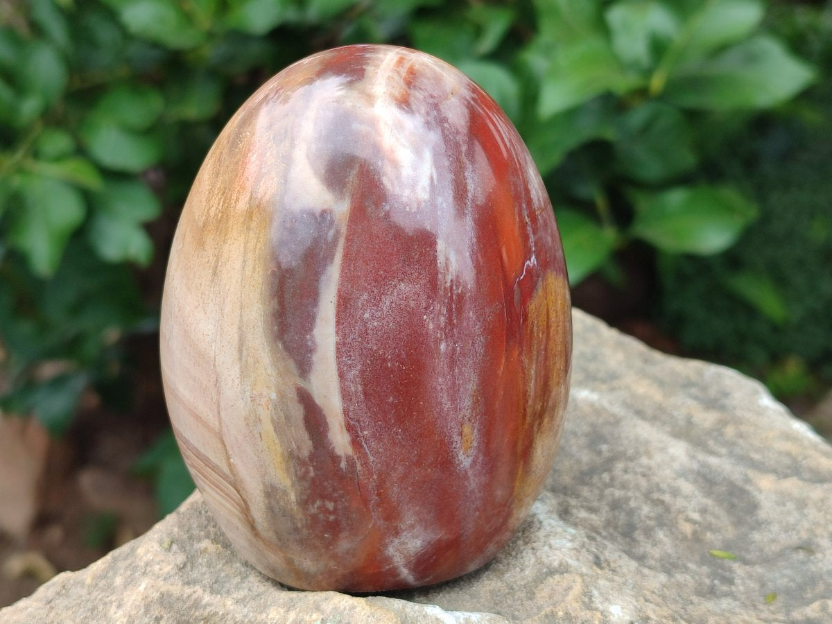 Polished Mixed Red Podocarpus Petrified Wood Pieces x 4 From Mahajanga, Madagascar - Toprock Gemstones and Minerals 
