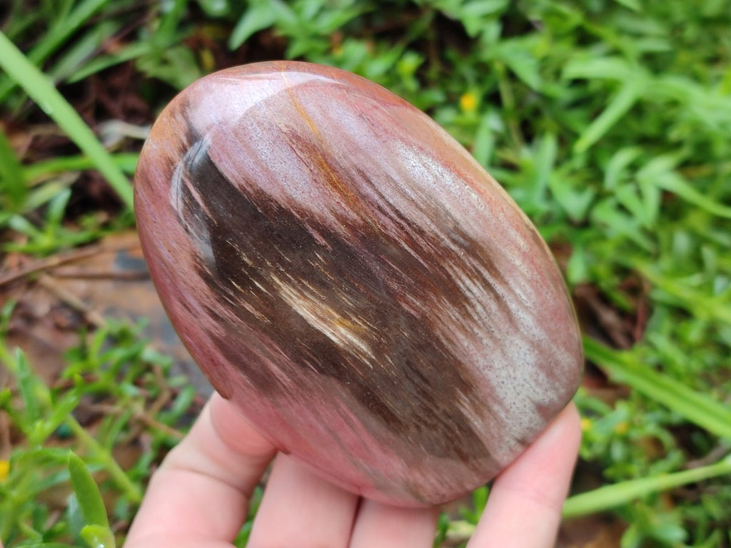 Polished Mixed Red Podocarpus Petrified Wood Pieces x 4 From Mahajanga, Madagascar - Toprock Gemstones and Minerals 