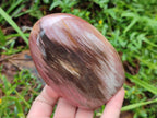 Polished Mixed Red Podocarpus Petrified Wood Pieces x 4 From Mahajanga, Madagascar - Toprock Gemstones and Minerals 