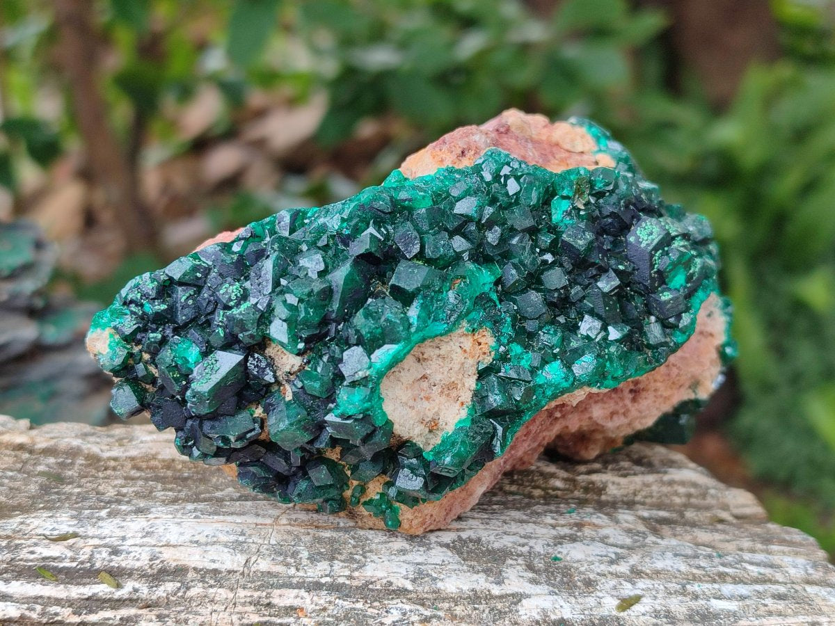 Natural Cabinet Dioptase on Dolomite Specimens x 3 From Likasi, Congo - Toprock Gemstones and Minerals 
