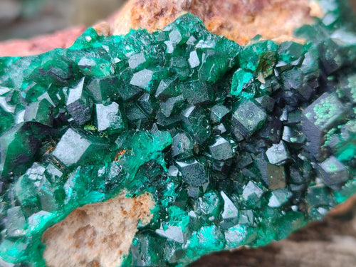 Natural Cabinet Dioptase on Dolomite Specimens x 3 From Likasi, Congo - Toprock Gemstones and Minerals 