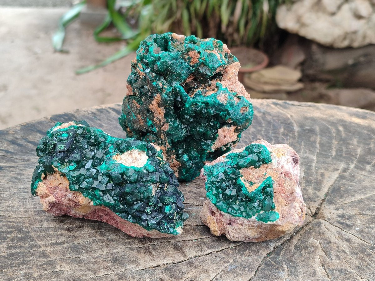 Natural Cabinet Dioptase on Dolomite Specimens x 3 From Likasi, Congo - Toprock Gemstones and Minerals 