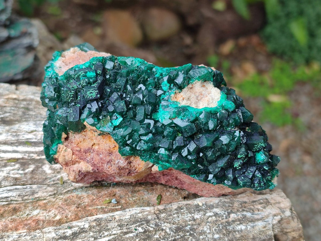 Natural Cabinet Dioptase on Dolomite Specimens x 3 From Likasi, Congo - Toprock Gemstones and Minerals 