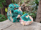 Natural Cabinet Dioptase on Dolomite Specimens x 3 From Likasi, Congo - Toprock Gemstones and Minerals 