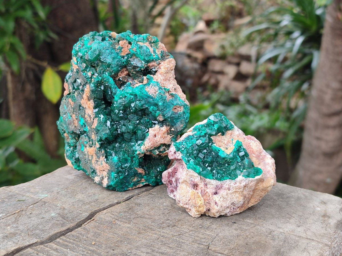 Natural Cabinet Dioptase on Dolomite Specimens x 3 From Likasi, Congo - Toprock Gemstones and Minerals 