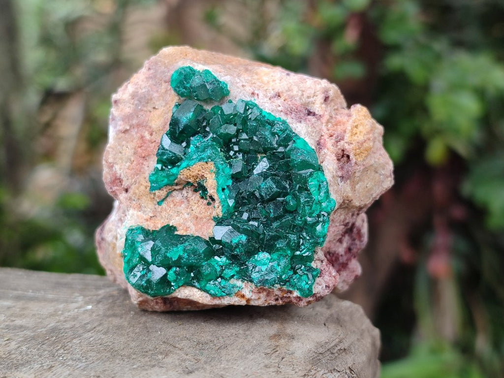 Natural Cabinet Dioptase on Dolomite Specimens x 3 From Likasi, Congo - Toprock Gemstones and Minerals 