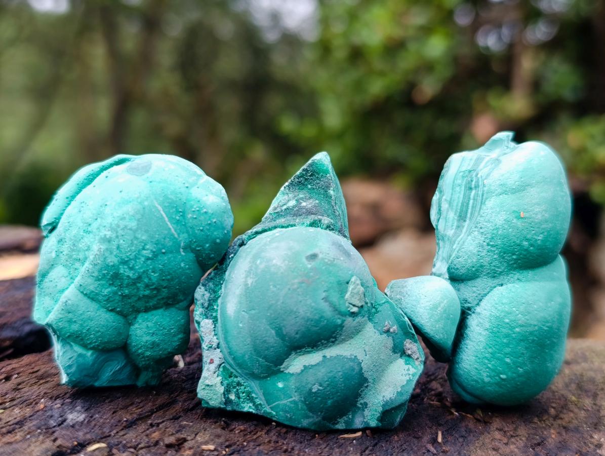 Natural Small Botryoidal Malachite Specimens x 17 From Congo - Toprock Gemstones and Minerals 