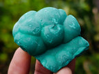 Natural Small Botryoidal Malachite Specimens x 17 From Congo - Toprock Gemstones and Minerals 