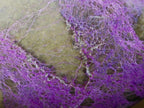 Polished Stichtite Standing Display Pieces x 3 From Barberton, South Africa - Toprock Gemstones and Minerals 