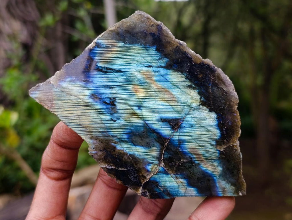 Polished One Side Labradorite Slices x 7 From Madagascar - Toprock Gemstones and Minerals 