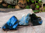 Polished One Side Labradorite Slices x 7 From Madagascar - Toprock Gemstones and Minerals 