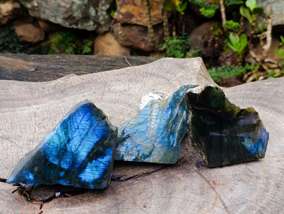 Polished One Side Labradorite Slices x 7 From Madagascar - Toprock Gemstones and Minerals 