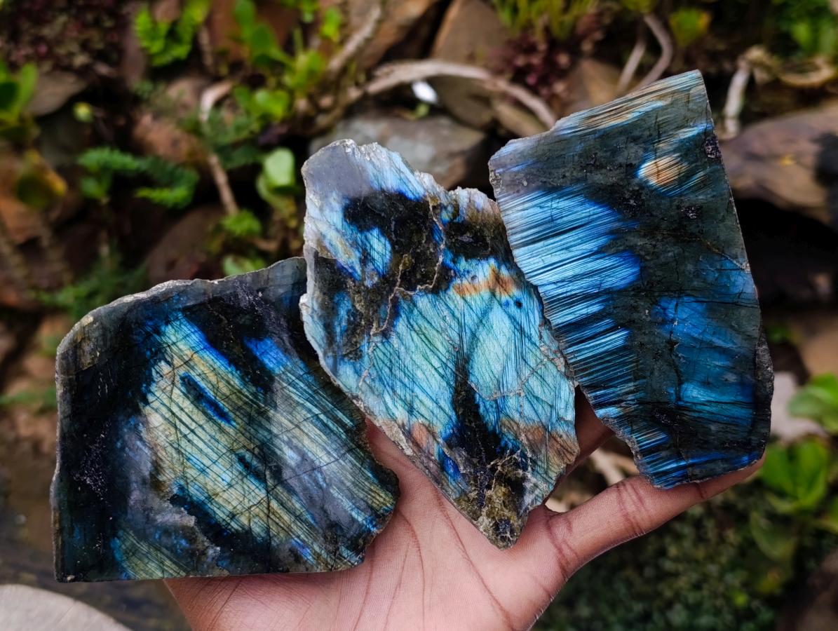 Polished One Side Labradorite Slices x 7 From Madagascar - Toprock Gemstones and Minerals 