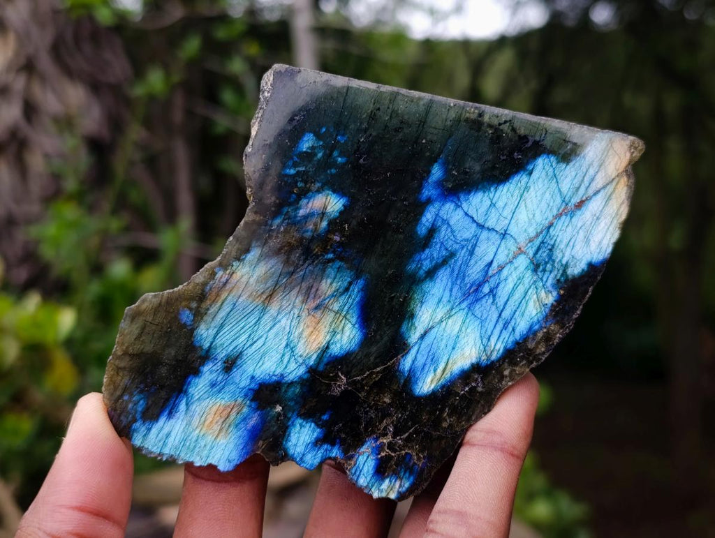 Polished One Side Labradorite Slices x 7 From Madagascar - Toprock Gemstones and Minerals 