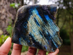 Polished One Side Labradorite Slices x 7 From Madagascar - Toprock Gemstones and Minerals 