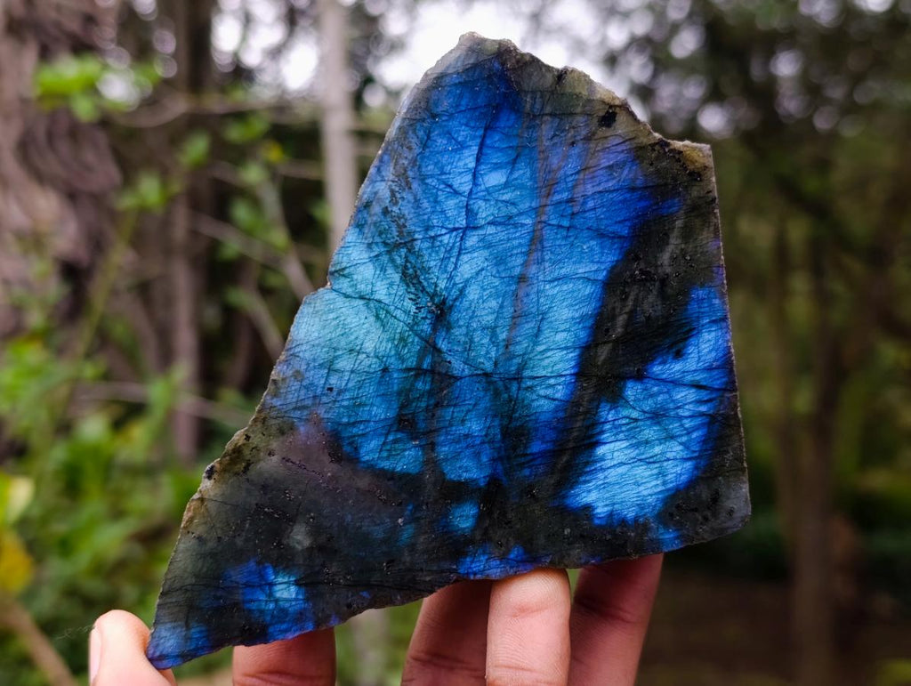 Polished One Side Labradorite Slices x 7 From Madagascar - Toprock Gemstones and Minerals 