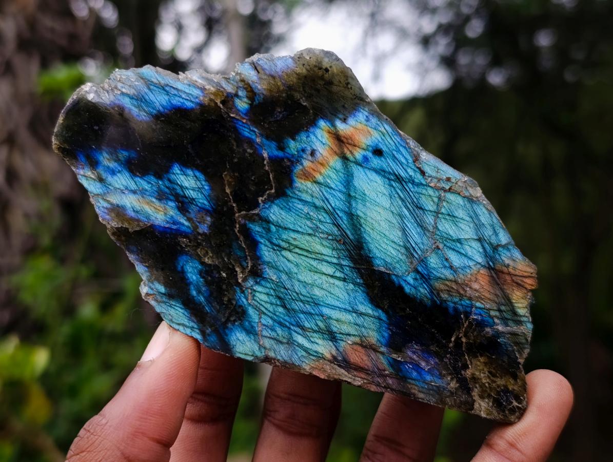Polished One Side Labradorite Slices x 7 From Madagascar - Toprock Gemstones and Minerals 