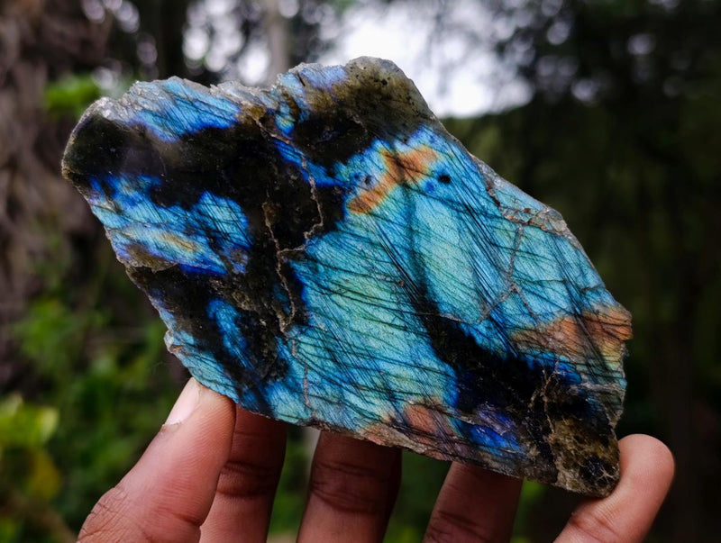 Polished One Side Labradorite Slices x 7 From Madagascar - Toprock Gemstones and Minerals 
