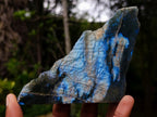 Polished One Side Labradorite Slices x 7 From Madagascar - Toprock Gemstones and Minerals 