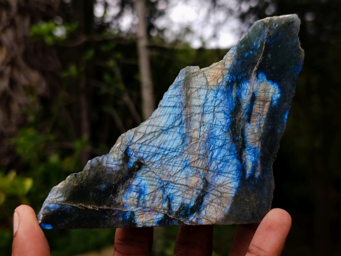 Polished One Side Labradorite Slices x 7 From Madagascar - Toprock Gemstones and Minerals 