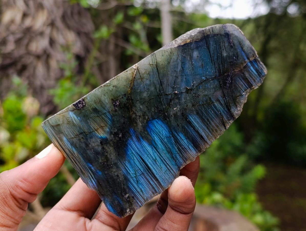 Polished One Side Labradorite Slices x 7 From Madagascar - Toprock Gemstones and Minerals 