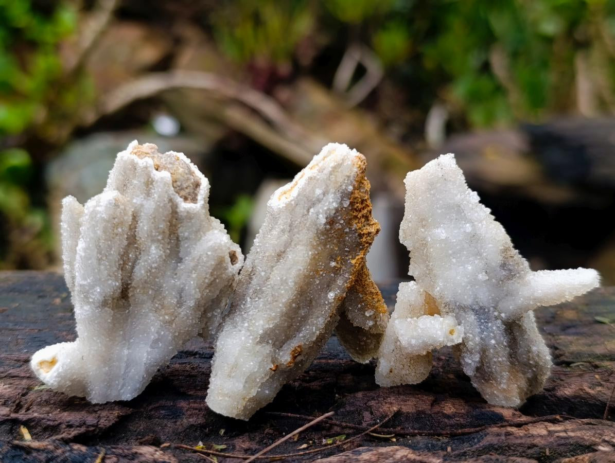 Natural Drusy Quartz Coated Calcite Pseudomorph Specimens x 35 From Albert's Mountain, Lesotho - Toprock Gemstones and Minerals 