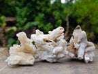 Natural Drusy Quartz Coated Calcite Pseudomorph Specimens x 35 From Albert's Mountain, Lesotho - Toprock Gemstones and Minerals 
