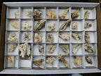 Natural Drusy Quartz Coated Calcite Pseudomorph Specimens x 35 From Albert's Mountain, Lesotho - Toprock Gemstones and Minerals 