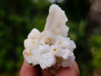 Natural Drusy Quartz Coated Calcite Pseudomorph Specimens x 35 From Albert's Mountain, Lesotho - Toprock Gemstones and Minerals 