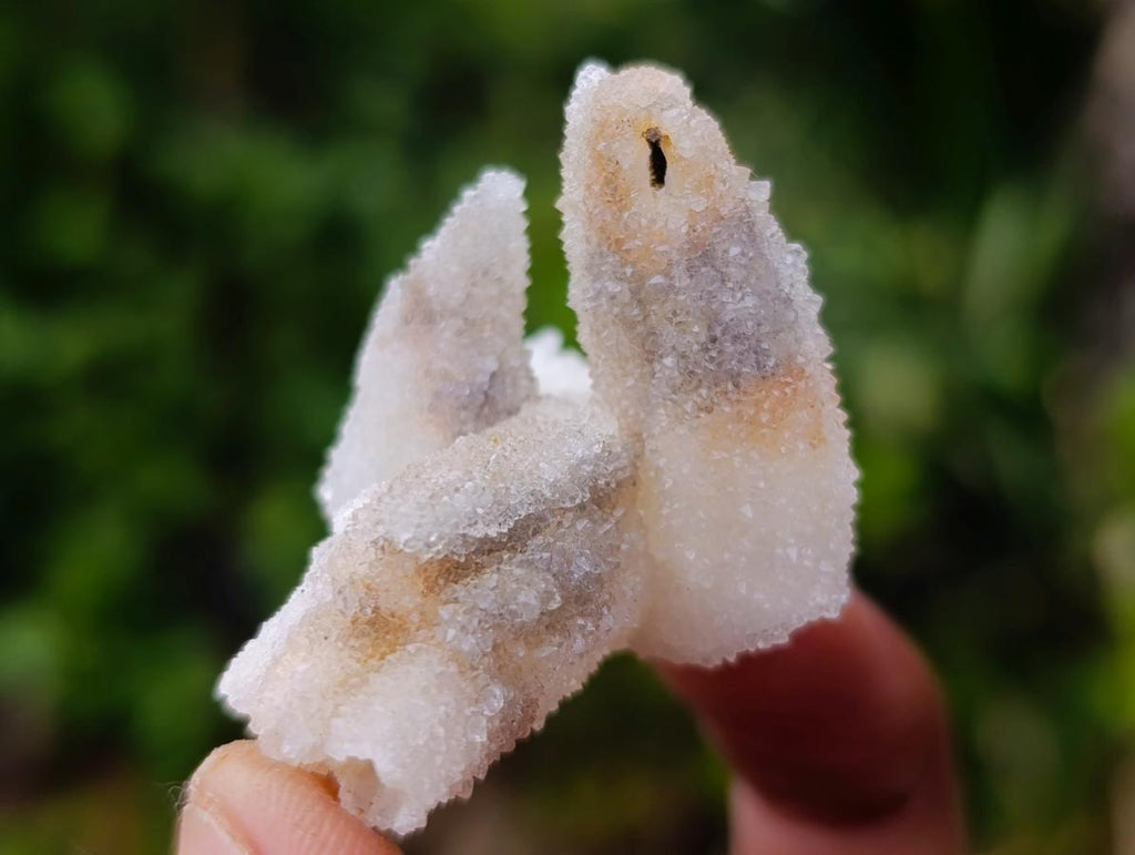 Natural Drusy Quartz Coated Calcite Pseudomorph Specimens x 35 From Albert's Mountain, Lesotho - Toprock Gemstones and Minerals 