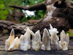 Natural Drusy Quartz Coated Calcite Pseudomorph Specimens x 35 From Albert's Mountain, Lesotho - Toprock Gemstones and Minerals 