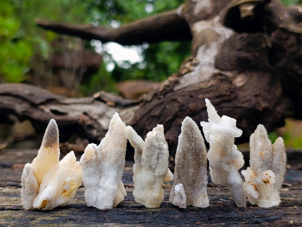 Natural Drusy Quartz Coated Calcite Pseudomorph Specimens x 35 From Albert's Mountain, Lesotho - Toprock Gemstones and Minerals 