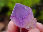 Polished Multi Mineral Tumbles, Plates and Crystals x 2.1 kg Lot From Southern Africa - Toprock Gemstones and Minerals 