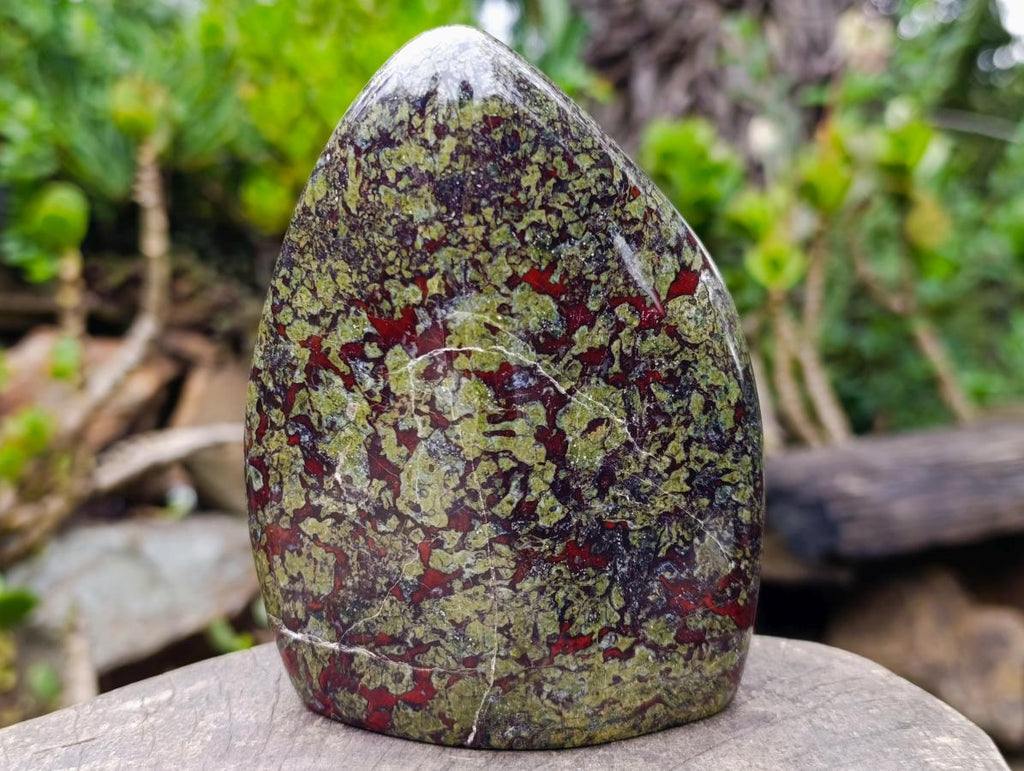 Polished Bastite Dragonsblood Stone Display Crystal x 1 From Tshipise, South Africa - Toprock Gemstones and Minerals 