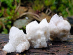 Natural Mixed Spirit Quartz Clusters x 12 From Boekenhouthoek, South Africa - Toprock Gemstones and Minerals 