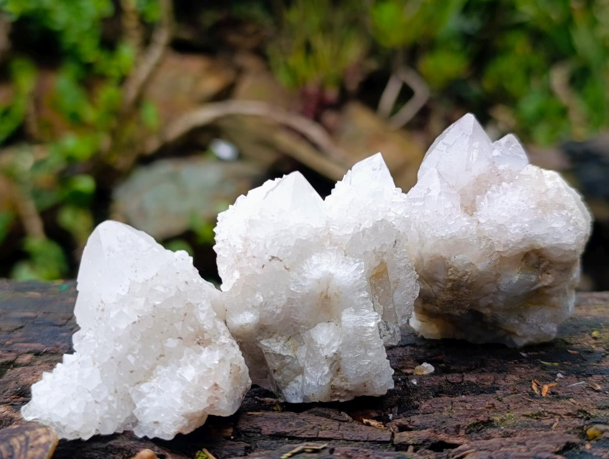 Natural Mixed Spirit Quartz Clusters x 12 From Boekenhouthoek, South Africa - Toprock Gemstones and Minerals 