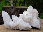 Natural Mixed Spirit Quartz Clusters x 12 From Boekenhouthoek, South Africa - Toprock Gemstones and Minerals 