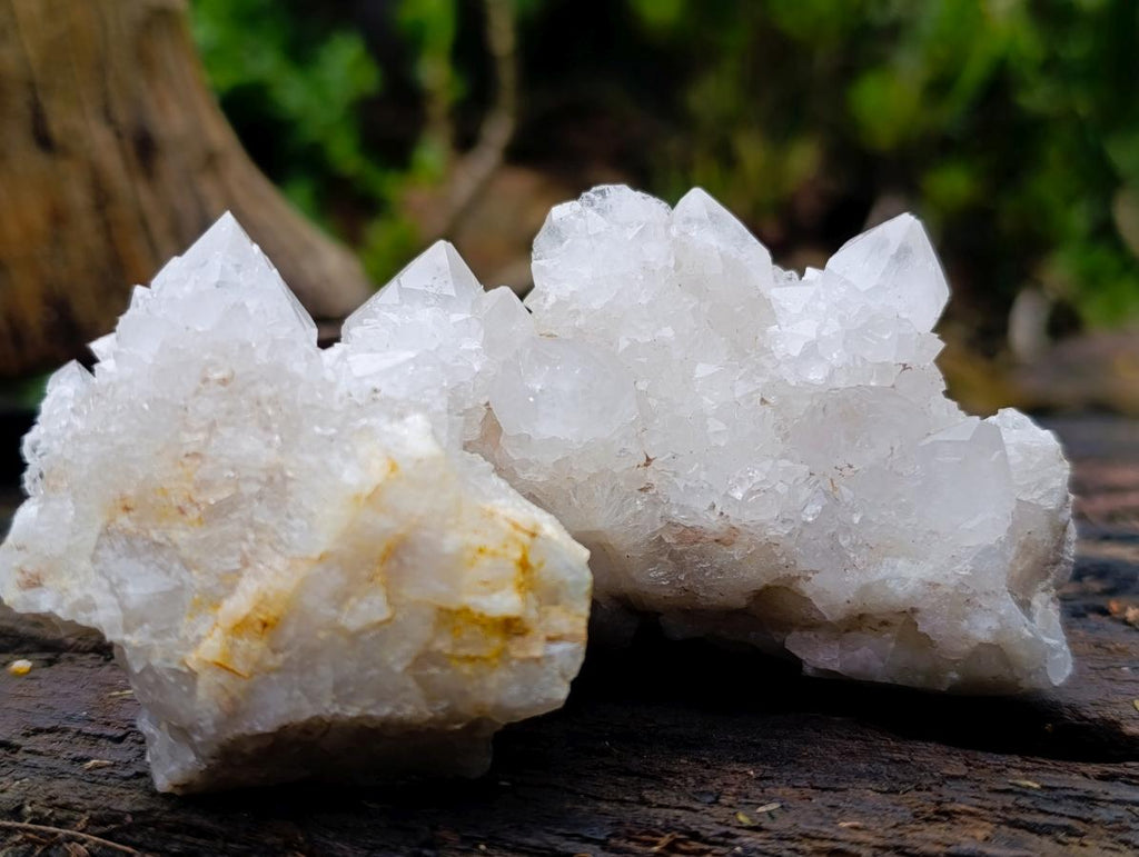 Natural Mixed Spirit Quartz Clusters x 12 From Boekenhouthoek, South Africa - Toprock Gemstones and Minerals 