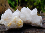 Natural Mixed Spirit Quartz Clusters x 12 From Boekenhouthoek, South Africa - Toprock Gemstones and Minerals 