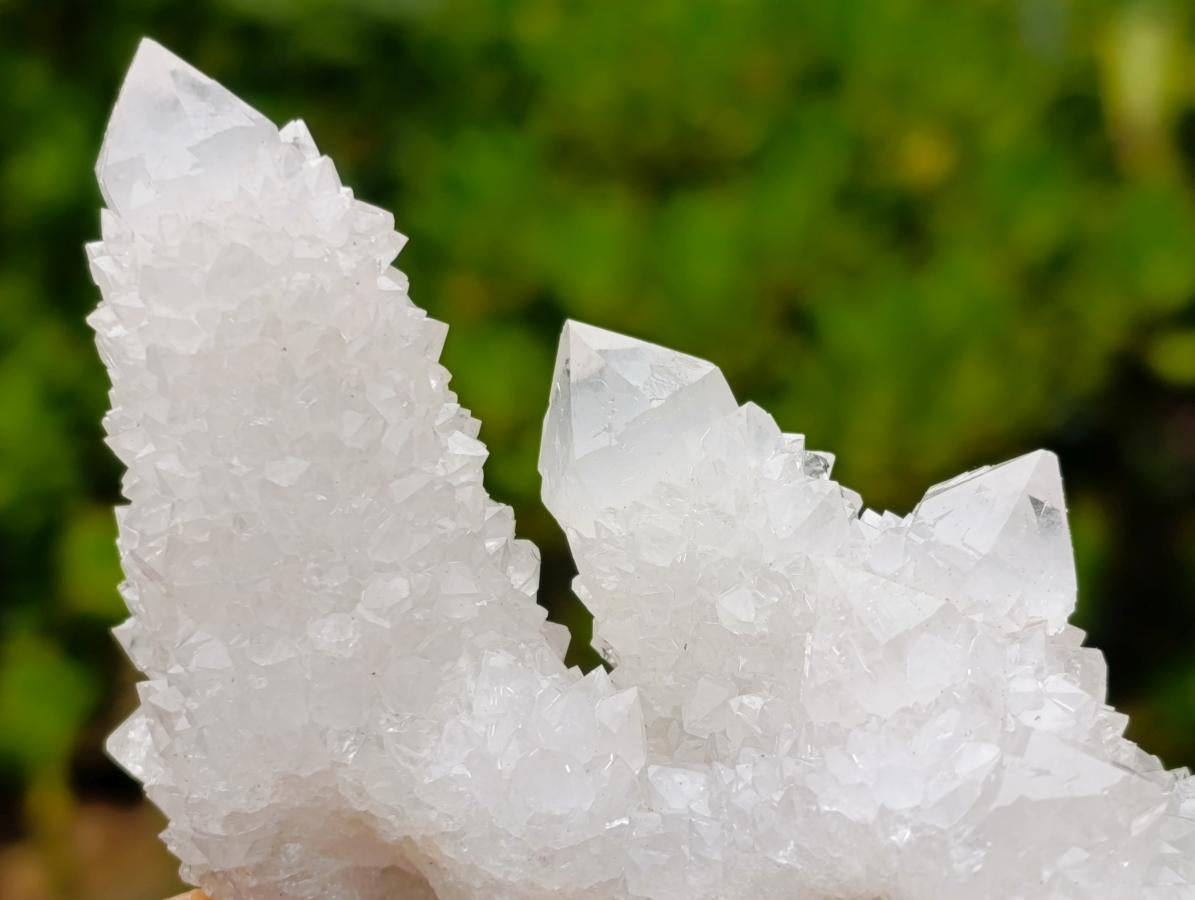 Natural Mixed Spirit Quartz Clusters x 12 From Boekenhouthoek, South Africa - Toprock Gemstones and Minerals 