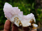 Natural Mixed Spirit Quartz Clusters x 12 From Boekenhouthoek, South Africa - Toprock Gemstones and Minerals 
