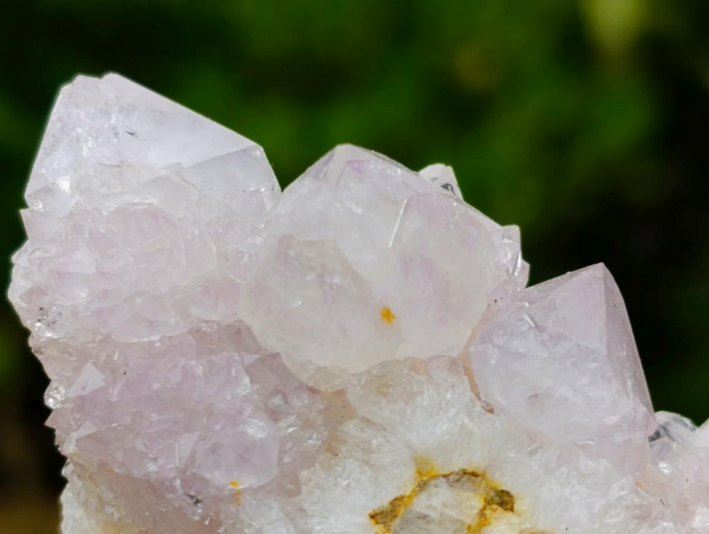 Natural Mixed Spirit Quartz Clusters x 12 From Boekenhouthoek, South Africa - Toprock Gemstones and Minerals 